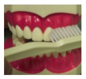 toothbrush San Jose